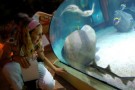 Gardaland Sea Life Aquarium: al via un nuovo progetto didattico con Askoll