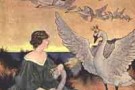 I Cigni Selvatici -parte undicesima-