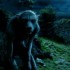 Il Lupo Mannaro -parte seconda-