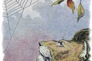 La zanzara e il leone