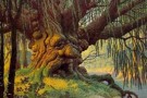 L’albero che parla -parte terza-