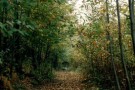 La Bella Prigioniera -parte seconda-