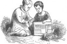 La margheritina -parte seconda-