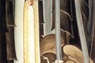 Prezzemolina -parte seconda-