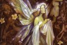 Le dodici fate -parte seconda-